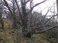 nte Fontane-201011107 030